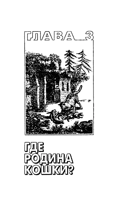Глава третьяГде родина кошки Быть может Египет Точно известно что три с - фото 5