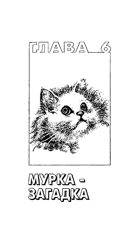 Глава шестая Мурказагадка За что некоторые кошки ненавидят мужчин Порой - фото 10