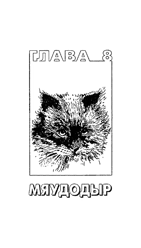 Глава восьмая Мяудодыр Может ли быть так что моя кошка слишком увлекается - фото 12