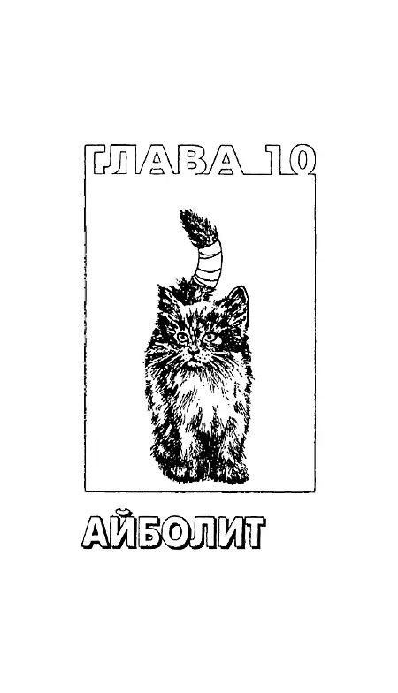 Глава десятая Айболит Действительно ли кошки иногда прикидываются больными - фото 14