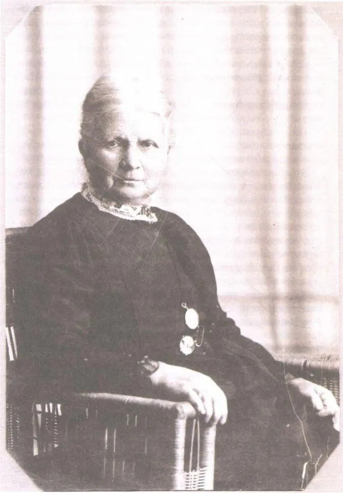Юлия Горвиц около 1910 г Она любила близких мудрой но и требовательной - фото 109