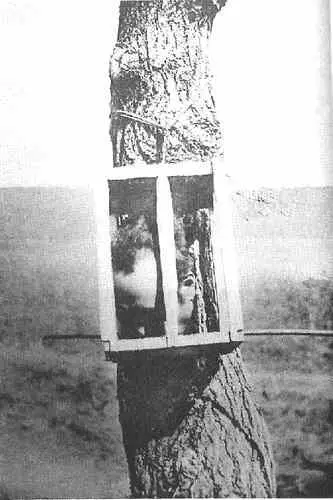 Отрубленная голова хунхуза привязанная к дереву Партия хунхузов в засаде на - фото 19
