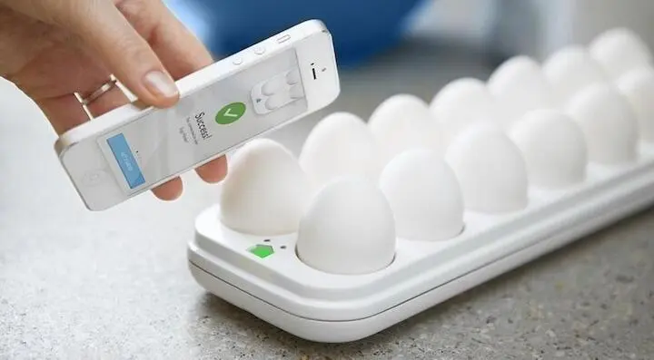 Контейнер Egg Minder оснащён адаптером WiFi и работает в связке с приложением - фото 56