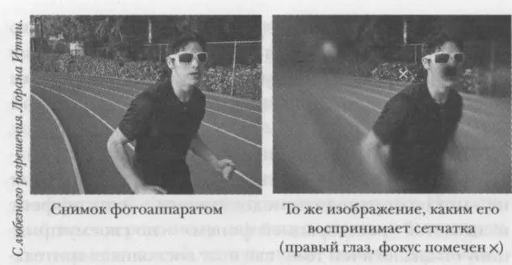 Похоже устроен и наш слух мы бессознательно дополняем пробелы в слуховой - фото 8