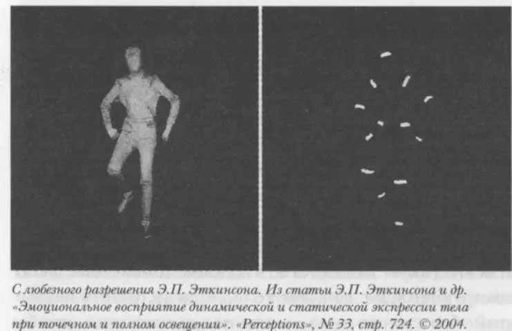 Но когда те двигались зрителям удавалось считать поразительное количество - фото 13