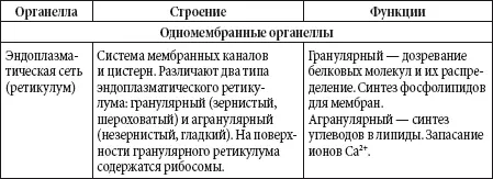 Ядро отвечает за хранение передачу и реализацию наследственной информации - фото 140