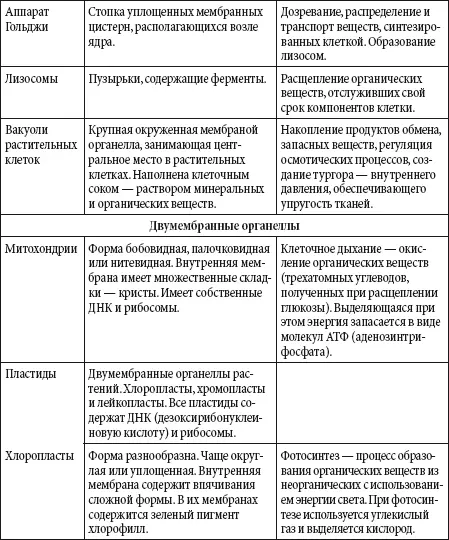 Ядро отвечает за хранение передачу и реализацию наследственной информации - фото 141