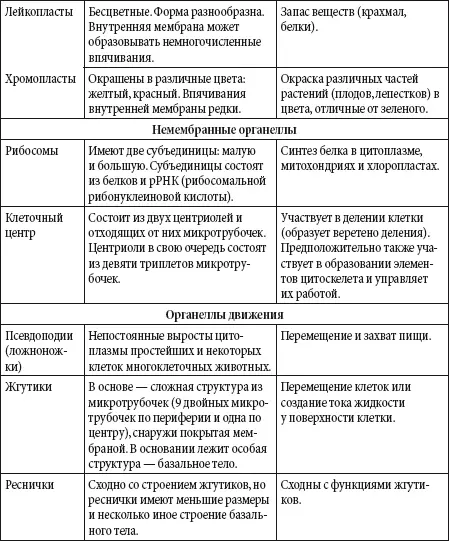 Ядро отвечает за хранение передачу и реализацию наследственной информации - фото 142