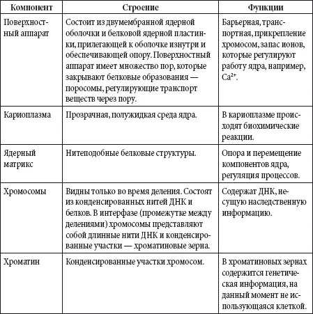 Классификация живых организмов Существует целый ряд принятых в биологии - фото 143