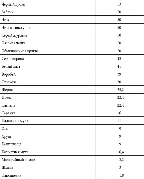Продолжительность вынашивания и количество одновременно рождающихся детенышей - фото 155