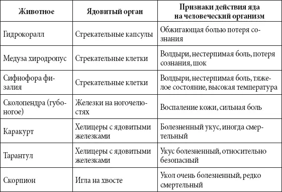 Самый самая самое Самая крупная птица на Земле африканский страус живущий - фото 164