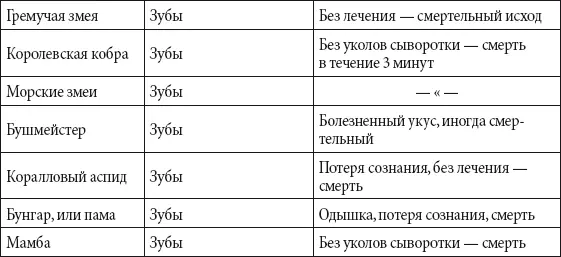 Самый самая самое Самая крупная птица на Земле африканский страус живущий - фото 166