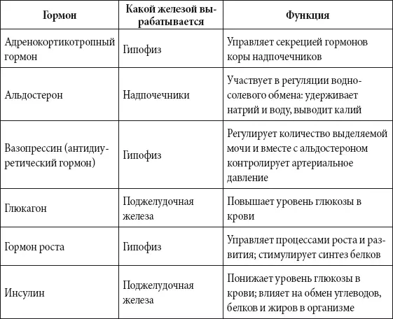 Половая система Половые органы человека принято делить на внутренние и - фото 193