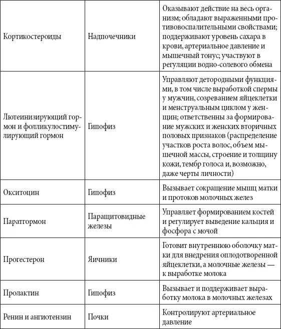 Половая система Половые органы человека принято делить на внутренние и - фото 194