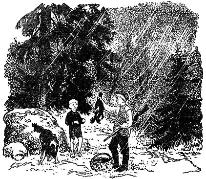 Тетерев на самом деле был красив как петух шея и грудь угольносиние хвост - фото 13