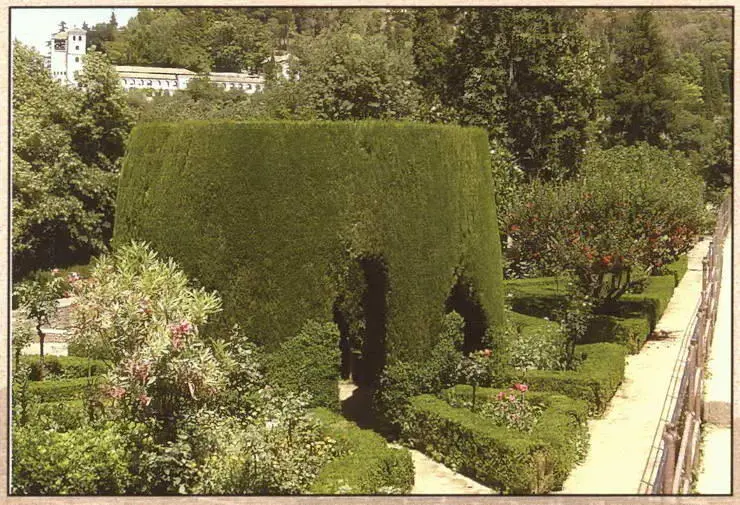 Сады Парталь Боскеты Верхняя Альгамбра Сухой Сад - фото 103