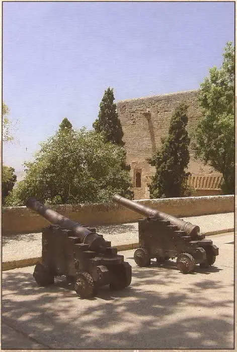Старинные пушки рядом с дворцом Карла V Дворец Карла V - фото 105
