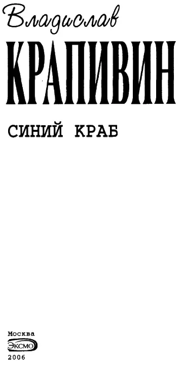 МАЛЬЧИШКИ МОИ ТОВАРИЩИ Ранние рассказы Страна Синей Чайки Предисловие Горы - фото 1