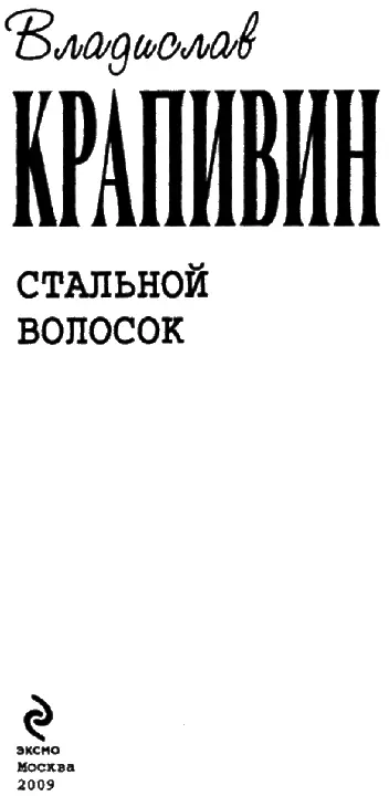 СТАЛЬНОЙ ВОЛОСОК Книга в двух романах Разговор с внуком в августе 2007 года - фото 1