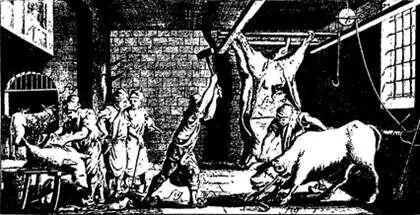 Вообще конина не так плоха на вкус но к ней нужно много приправ и самое - фото 307