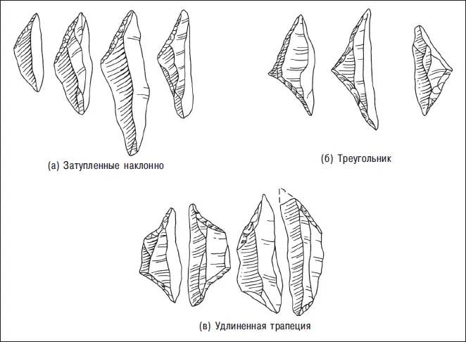 Рис 103 Артефакты возрастом около 9000 лет из английского Стар Карра в - фото 107