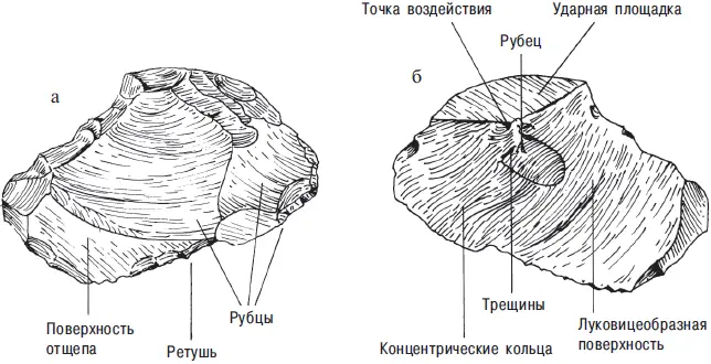 Рис 112 Компоненты орудияотщепа а поверхность отщепа б - фото 113