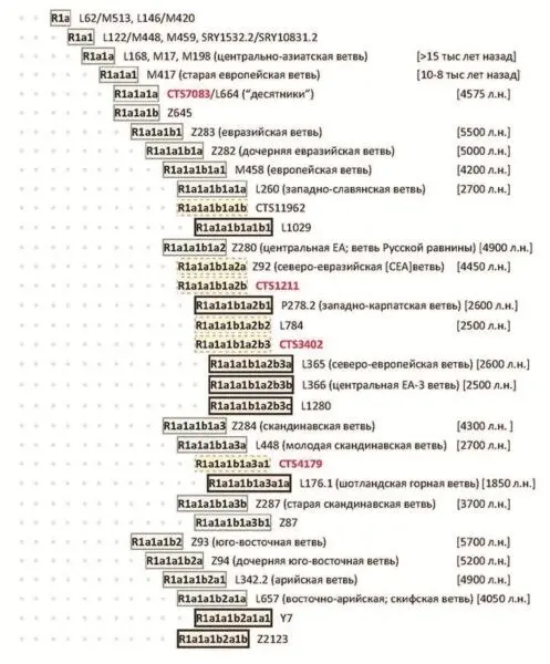 Род R1a составил профессор АА Клёсов Источник сайт pereformatru Но в - фото 129