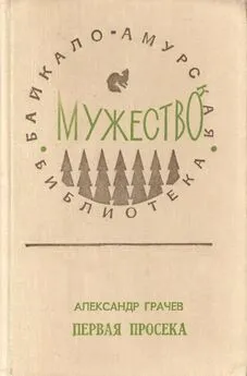 Александр Грачев - Первая просека