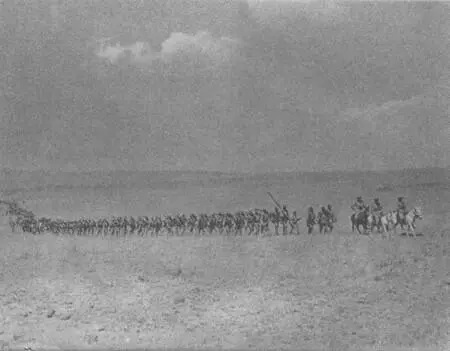 Война дошла до Африки 1914 Около десяти тысяч вооруженных людей ищут друг - фото 38