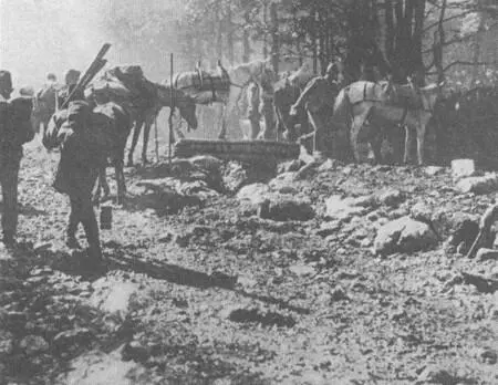 Австровенгерские войска в Сербии Октябрьноябрь 1915 Вторгаясь в Сербию - фото 47