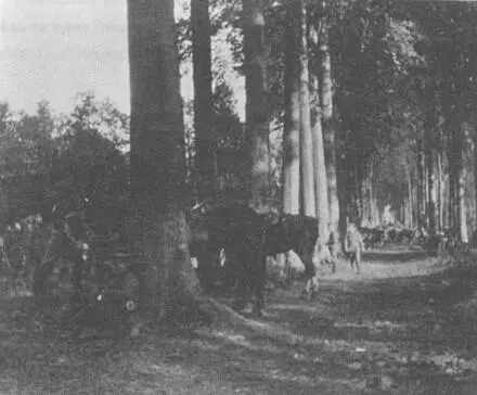 Лес Убежище в октябре 1914 Немцы организовали взрыв огромной мощи в - фото 60