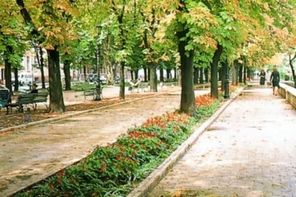 Приморский бульвар Лаокоон Колоннада Дворца пионеров Мама никогда не - фото 94