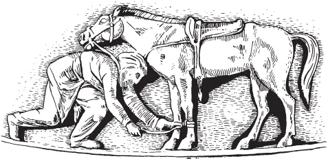 Скифский охотник стреноживает лошадь Изображение на вазе из Чертомлыка - фото 1