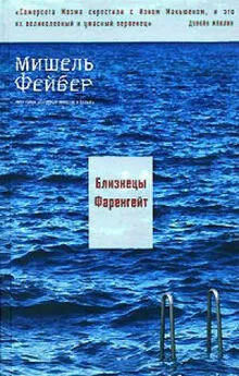 Мишель Фейбер - Близнецы Фаренгейт