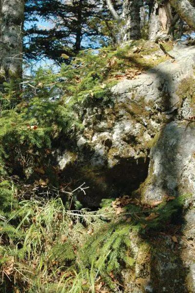 Ниши под камнями удобные места отдыха На самом деле тигры стараются - фото 27