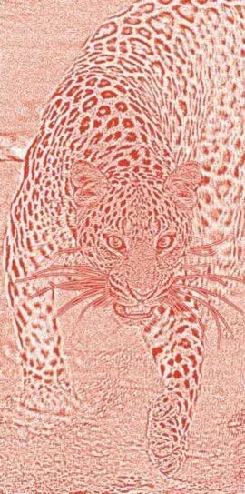 Пятнистая кошка Леопард полатыни panthera пофранцузски leopard - фото 195