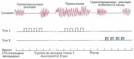 Рис 120 Запись движений младенца всего лишь четырех часов от роду при сосании - фото 142