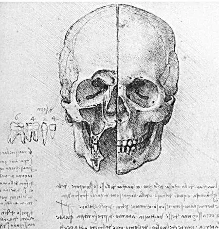 Рисунок Леонардо да Винчи Вероятнее всего эти рисунки не были известны - фото 48