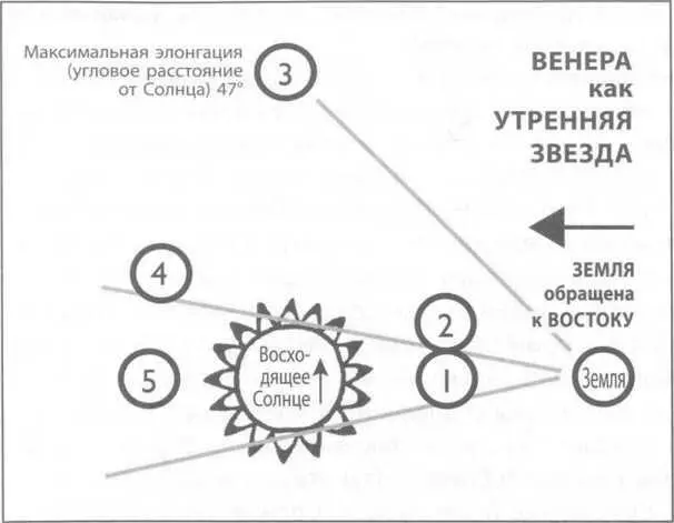Рис 94 Венера как Утренняя Звезда Рис 94 Венера как Вечерняя Звезда Во - фото 120