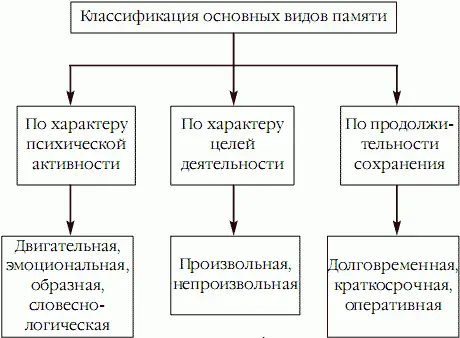 Классификация видов памяти по характеру психической активности Двигательная - фото 3