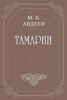Михаил Авдеев - Тамарин