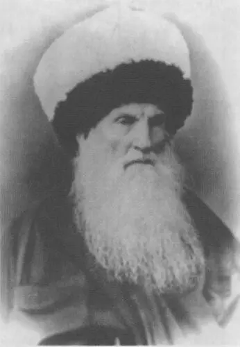 Шамиль Около 1867 года Фото Ф Блюма Командир Беззаветной команды - фото 5