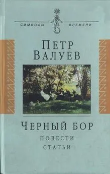 Пётр Валуев - Черный бор: Повести, статьи