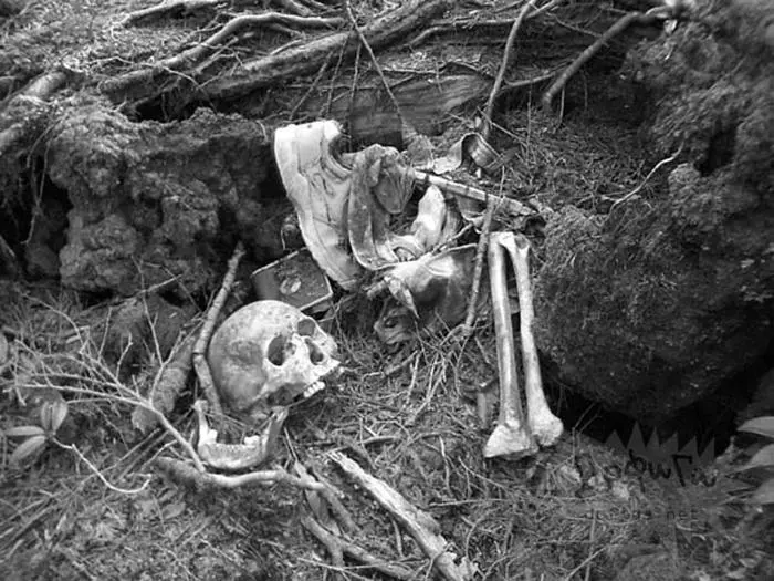 Останки самоубийцы в лесу Аокигахара Находится лес самоубийц рядом со - фото 13