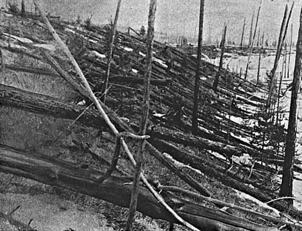 Лес на месте падения Тунгусского метеорита Первое что пришло на ум - фото 90