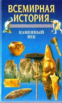 Александр Бадак - Всемирная история. Том 1. Каменный век