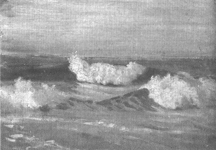 Скользящие буруны наряжаются в отложные воротники из белопенной воды совсем - фото 16
