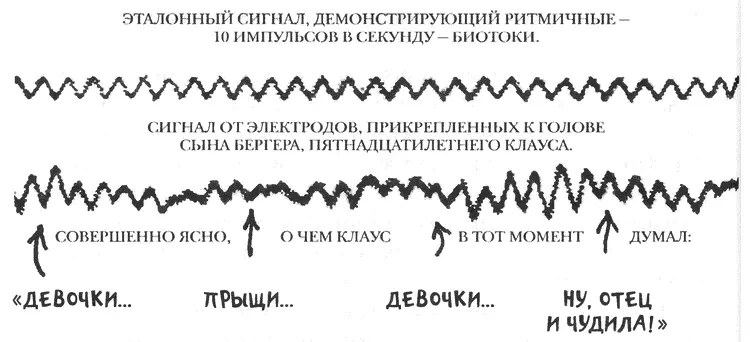 В 1924 году Ганс Бергер продемонстрировал ритмичность импульсации нейронов - фото 24
