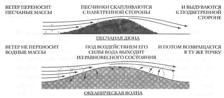 Дюна вырастает только благодаря потоку несомых ветром песчинок Однако - фото 62