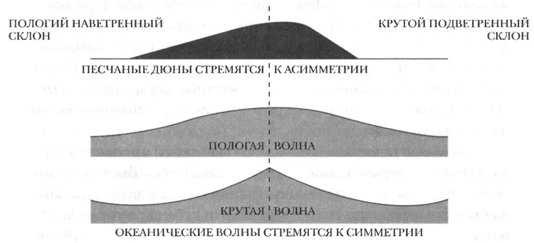 Песчаные и океанические волны зачастую разнятся даже по форме Оказывается - фото 63